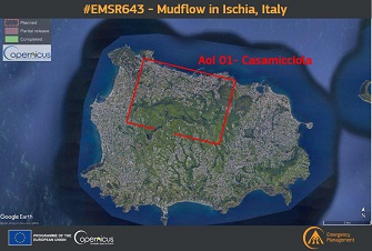 immagine della mappa dell'isola d'ischia realizzata da copernicus