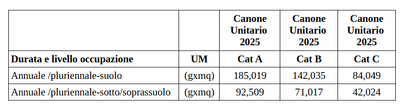 Costo della concessione