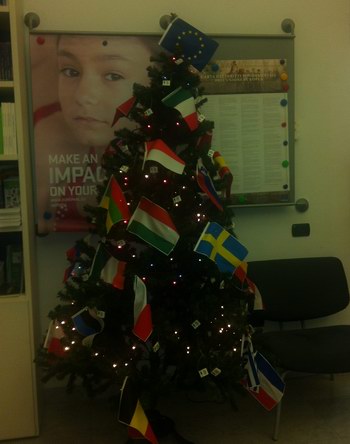 Foto dell'albero di natale del ceicc decorato con le bandiere europee