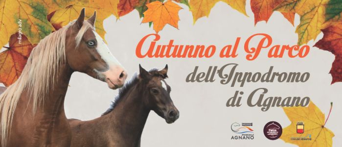 Autunno al parco dell'Ippodromo di Agnano