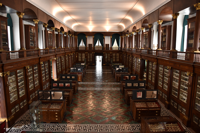 Massimo Latte Mistica della materia