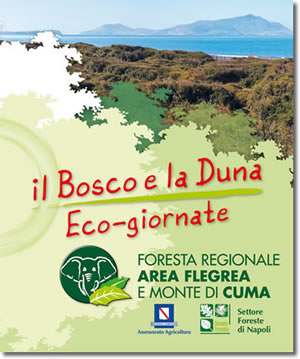 il bosco e la duna