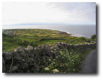 immagne di un paesaggio