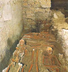 ancient rests showing a necropolis with human skeletons