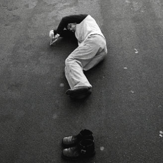 Logo anno internazionale biodiversità