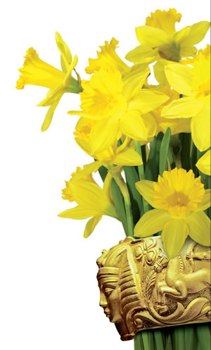 fascio di fiori gialli