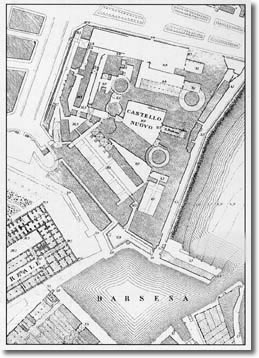 ancient topographic plant