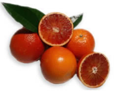 arance rosse della sicilia