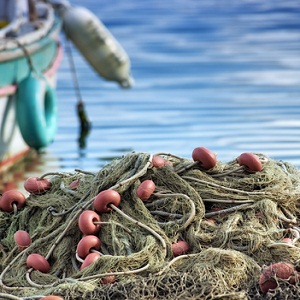 immagini di una rete da pesca