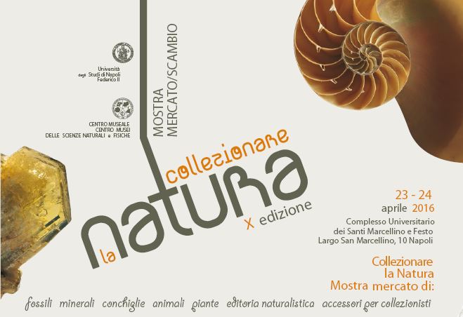Collezionare la Natura