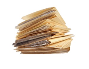 immagine di documenti