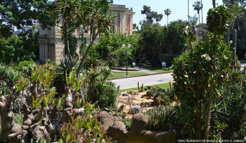 Orto Botanico di Napoli