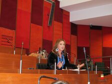 Una foto della seduta del Consiglio