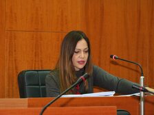  Foto del consiglio comunale