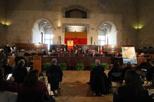 Foto del consiglio comunale