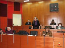 Una foto della seduta del Consiglio