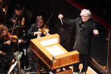 Al Teatro San Carlo il gran gala di beneficenza per Ischia: in scena "Il Lago dei Cigni"