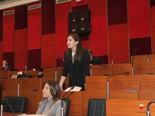 Una foto della seduta del Consiglio