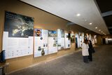 Presentata alla stazione di Monte Echia la mostra "Parthenope prima di Neapolis"