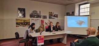 Presentati i dati della Rete dei Centri Antiviolenza del Comune