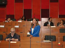 Foto del consiglio comunale