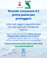 “Chi Tene ‘O Mare”, al via la nuova campagna di sensibilizzazione alla tutela dell’ambiente marino-costiero