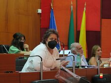 Foto del consiglio comunale