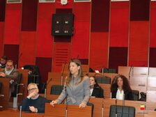 Una foto della seduta del Consiglio