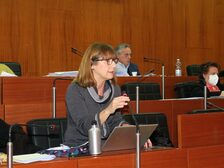  Foto del consiglio comunale