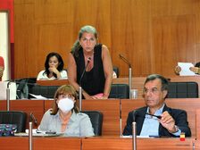 Foto del consiglio comunale