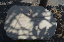 Giornata della legalità 2023: il Comune commemora Falcone, Borsellino e tutte le vittime delle mafie