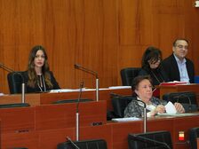 Una foto della seduta del Consiglio