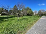 Parco San Gaetano Errico, via ai lavori di riqualificazione