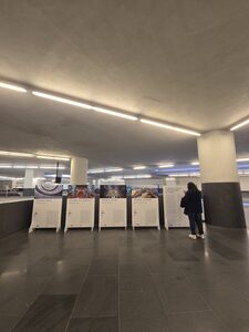 “Il mare e l’acqua. L’oro azzurro di Napoli” e le “stazioni dell’acqua” delle Linee 1 e 6 della Metropolitana